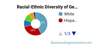 Racial-Ethnic Diversity of General Economics Majors at University of Central Florida