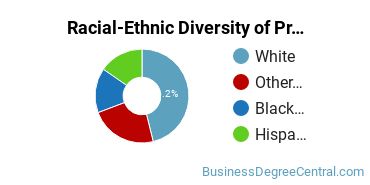 Racial-Ethnic Diversity of Professional Sales Majors at University of Central Oklahoma