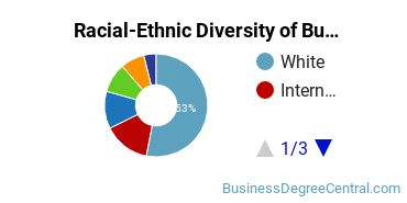 Racial-ethnic diversity of Business Administration & Management majors at University of Connecticut