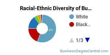 Racial-ethnic diversity of Business Administration & Management majors at University of Detroit Mercy