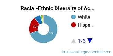 Racial-Ethnic Diversity of Accounting Majors at University of Florida