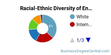 Racial-Ethnic Diversity of Entrepreneurship Majors at University of Florida