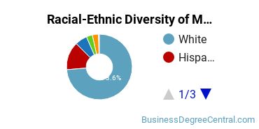 Racial-Ethnic Diversity of Marketing/Marketing Management, General Majors at University of Florida