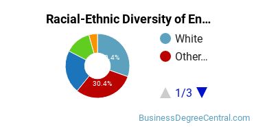 Racial-Ethnic Diversity of Entrepreneurship Majors at University of Hawaii at Manoa