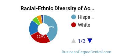Racial-Ethnic Diversity of Accounting Majors at University of Houston - Clear Lake