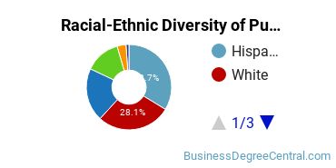 Racial-Ethnic Diversity of Purchasing, Procurement/Acquisitions and Contracts Management Majors at University of Houston - Downtown