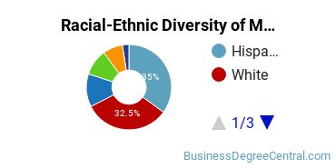 Racial-Ethnic Diversity of Marketing/Marketing Management, General Majors at University of Houston - Downtown