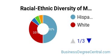 Racial-Ethnic Diversity of Marketing/Marketing Management, General Majors at University of Houston - Victoria