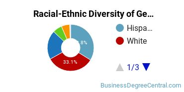Racial-Ethnic Diversity of General Economics Majors at University of Houston