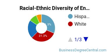 Racial-Ethnic Diversity of Entrepreneurship Majors at University of Houston
