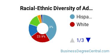 Racial-Ethnic Diversity of Advertising Majors at University of Houston
