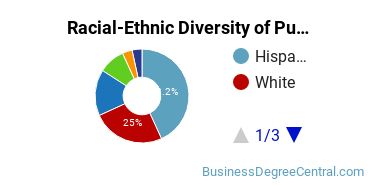 Racial-Ethnic Diversity of Public Relations Majors at University of Houston