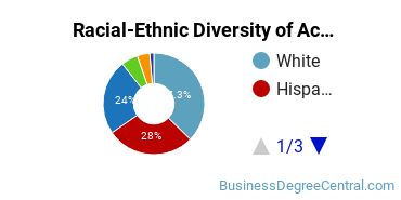 Racial-Ethnic Diversity of Accounting Majors at University of Illinois at Chicago