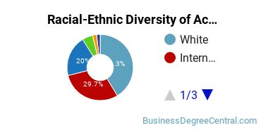 Racial-Ethnic Diversity of Accounting Majors at University of Illinois at Urbana-Champaign