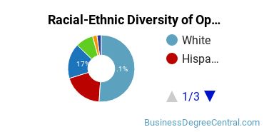 Racial-Ethnic Diversity of Operations Management Majors at University of Illinois at Urbana-Champaign