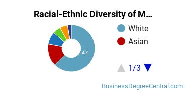 Racial-Ethnic Diversity of Marketing/Marketing Management, General Majors at University of Illinois at Urbana-Champaign