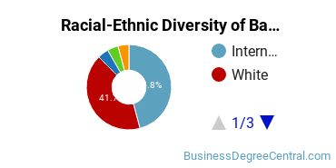 Racial-Ethnic Diversity of Banking and Financial Support Services Majors at University of Indianapolis