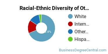 Racial-Ethnic Diversity of Other Marketing Majors at University of Iowa