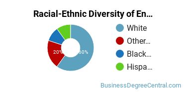 Racial-Ethnic Diversity of Entrepreneurship Majors at University of Maine at Machias