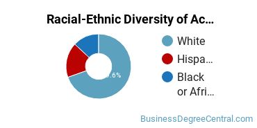 Racial-Ethnic Diversity of Accounting Majors at University of Mary Hardin - Baylor