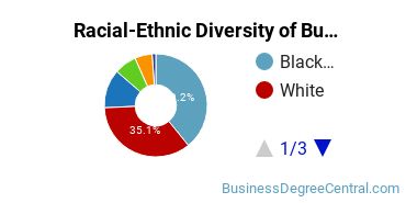 Racial-ethnic diversity of Business Administration & Management majors at University of Maryland Global Campus