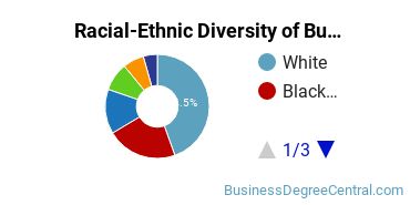 Racial-Ethnic Diversity of Business Statistics Majors at University of Maryland Global Campus