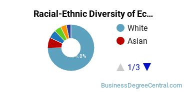 Racial-Ethnic Diversity of Econometrics & Quantitative Economics Majors at University of Massachusetts Amherst