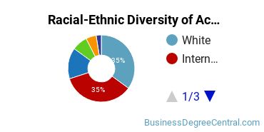 Racial-Ethnic Diversity of Accounting Majors at University of Massachusetts - Boston
