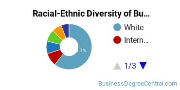 Racial-ethnic diversity of Business Administration & Management majors at University of Massachusetts-Lowell