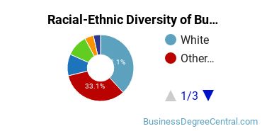 Racial-ethnic diversity of Business Administration & Management majors at University of Massachusetts-Lowell