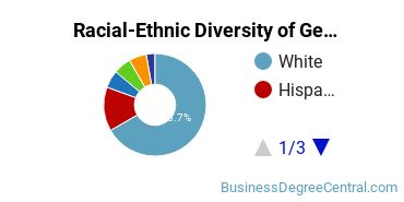 Racial-Ethnic Diversity of General Economics Majors at University of Massachusetts - Lowell