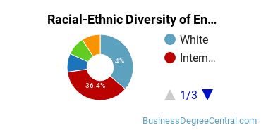 Racial-Ethnic Diversity of Entrepreneurship Majors at University of Massachusetts - Lowell