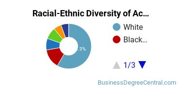 Racial-Ethnic Diversity of Accounting Majors at University of Memphis