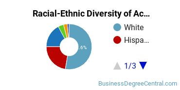 Racial-Ethnic Diversity of Accounting Majors at University of Miami