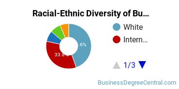 Racial-Ethnic Diversity of Business Economics Majors at University of Miami