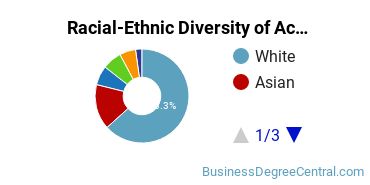 Racial-Ethnic Diversity of Accounting Majors at University of Michigan - Dearborn