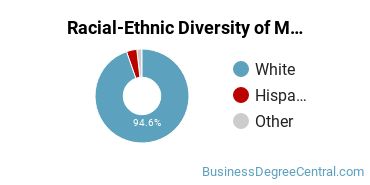 Racial-Ethnic Diversity of Marketing/Marketing Management, General Majors at University of Minnesota - Duluth