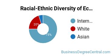 Racial-Ethnic Diversity of Econometrics & Quantitative Economics Majors at University of Missouri - Columbia
