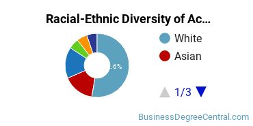Racial-Ethnic Diversity of Accounting Majors at University of Missouri - St Louis