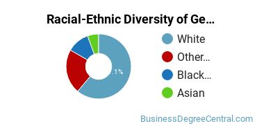 Racial-Ethnic Diversity of General Economics Majors at University of Missouri - St Louis