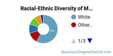 Racial-Ethnic Diversity of Management Science Majors at University of Missouri - St Louis