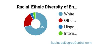 Racial-Ethnic Diversity of Entrepreneurship Majors at University of North Dakota