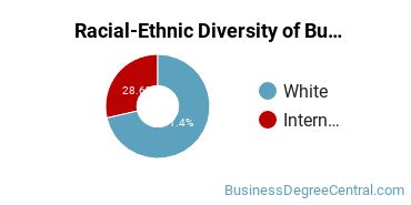 Racial-Ethnic Diversity of Business Economics Majors at University of North Dakota