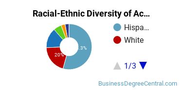Racial-Ethnic Diversity of Accounting Majors at University of North Texas at Dallas