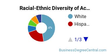 Racial-Ethnic Diversity of Accounting Majors at University of North Texas