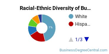 Racial-ethnic diversity of Business Administration & Management majors at University of North Texas