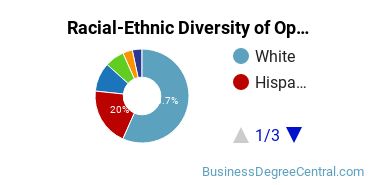 Racial-Ethnic Diversity of Operations Management Majors at University of North Texas