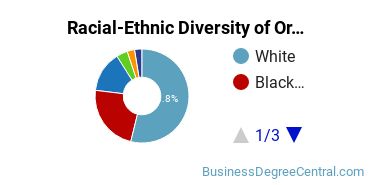 Racial-Ethnic Diversity of Organizational Behavior Studies Majors at University of North Texas