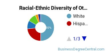 Racial-Ethnic Diversity of Other Management Sciences and Quantitative Methods Majors at University of North Texas