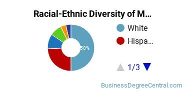 Racial-Ethnic Diversity of Marketing/Marketing Management, General Majors at University of North Texas